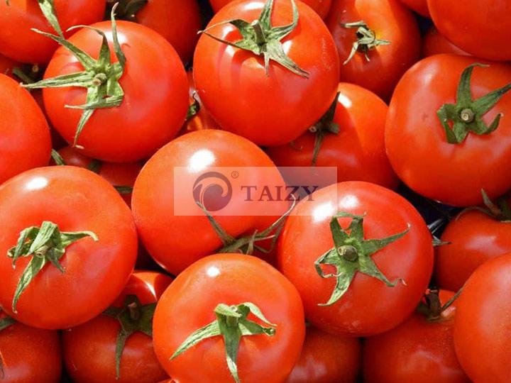 Tomato